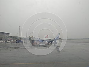 Flights landed in cochin international airport, kerala