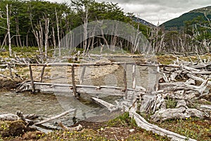 Flimsy bridge over brook at Martial Mountains, Ushuaia, Argentina