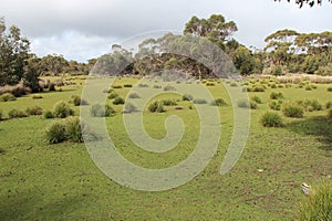flinders chase natinal park in kangaroo island (australia)