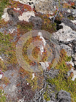 Flinders Chase national park