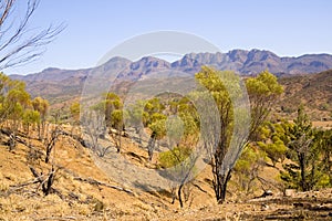 Flinders Ranges