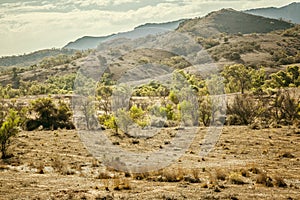 Flinders Ranges Australia
