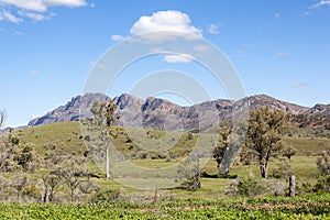 Flinders ranges australia