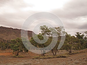 Flinders Ranges, Brachina Gorge, Australia