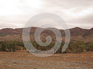 Flinders Ranges, Brachina Gorge, Australia