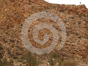 Flinders Ranges, Brachina Gorge, Australia photo