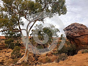 Flinders Ranges Death Rock View