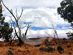 Flinders Ranges Hiking View