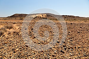 Flinders Ranges landscape. South Australia. photo