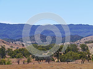 Flinders Ranges national park