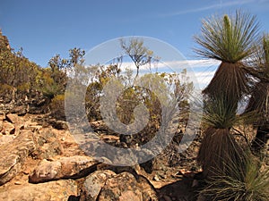 Flinders ranges, south australia