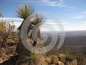 Flinders ranges, south australia