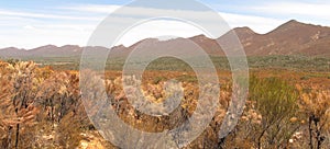 Flinders ranges, south australia