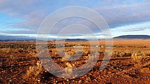 Flinders Ranges view from Hawker