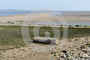 Flint foreshore at low tide