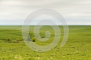 Flint Hills of Kansas