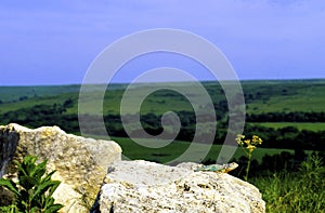 Flint Hills Scenic with Lizard  55054