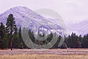 The Flint Range, Montana photo