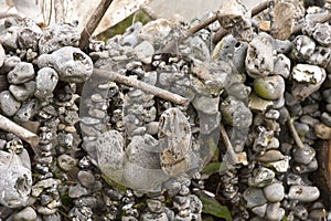 Flintstones lined up on Ropes