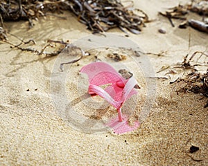 Flip flop as flotsam on the sandy beach photo