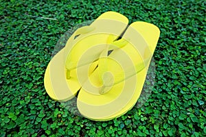 Flip Flop. Close Up Yellow Flip Flops Isolated on Green Grass Background
