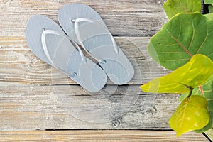 Flip Flop sandals set out on a sunny beach side boardwalk. Close up