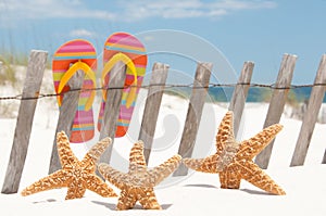 Flip flops on fence photo