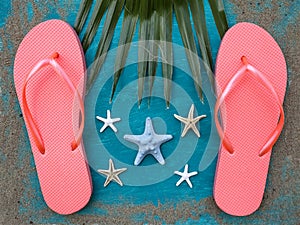 Flip-flops, palm leaf and seafish on aquamarine background