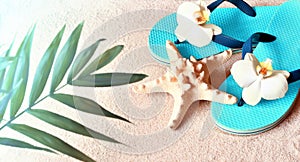 Flip Flops in the sand with starfish . Summertime .beach concept.