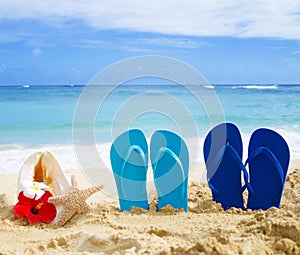 Flip flops, seashell and starfish with tropical flowers on sandy