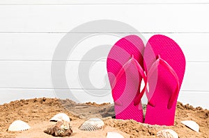 Flip flops with shellfish and sand for summetime with copy space