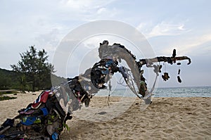 Flip-flops on the tree on the island in Cambodia