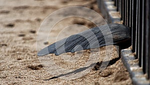 Flipper poking through fence