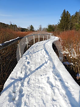 FingerLakesLandTrust wooden walkway through winter wetlands nature preserve