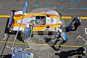 FLM Oreca 09