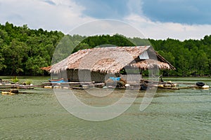 Float fishing village on tropical river