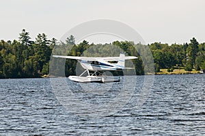 Float plane or seaplane