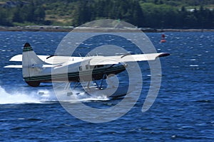 Float plane in water in Alaska