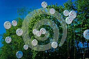 Floating balloons into green wood