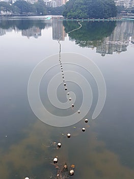 The floating balls of the fishing net are connected into a rope, and the big green ` ball` is sleeved.