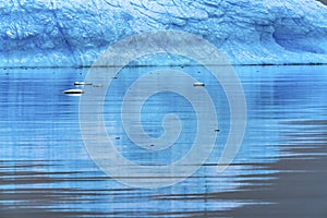 Floating Blue Iceberg Reflection Paradise Bay Skintorp Cove Antarctica