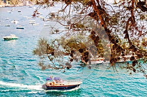 Floating boats in Tyrrhenian sea waters under the hanging down pine tree branch full of pine cones. Positano, Italy