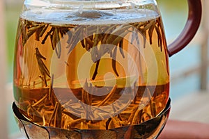 Floating brewing green tea leaves close up inside transparent glass kettle on natural background during tea ceremony