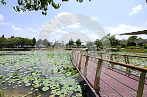 Floating Bridge at Cyberjaya Lake