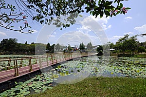 Floating Bridge at Cyberjaya Lake