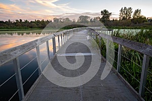 Floating bridge in the swan lake nature sanctuary