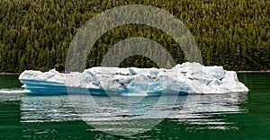 Floating Chunk of Iceberg in Alaska, USA