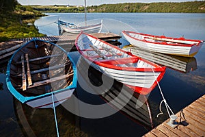 Floating Color Wooden Boats with Paddles in a Lake