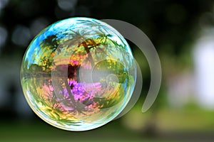 Floating colorful soap bubble with coconut palms and clouds reflection, macro