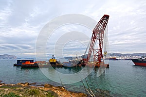 Floating crane